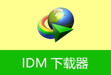 IDM下载器 | Internet Download Manager (v6.43.10.3 v3)-贰五软库