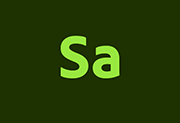 Adobe Substance 3D Sampler(简称Sa直装版) v6.0.3 中文直装版-贰五软库